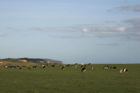 Port Campbell - Tourism Hervey Bay 2