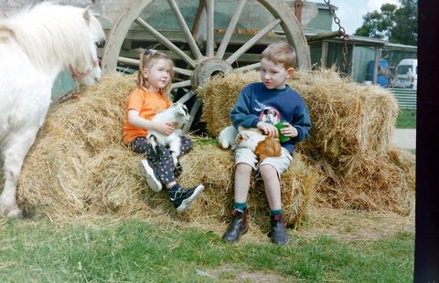 Rain Hayne And Shine Farmyard - Hervey Bay Accommodation 0