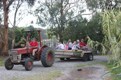 Rain Hayne And Shine Farmyard - Hervey Bay Accommodation 1