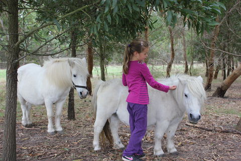 Rain Hayne And Shine Farmyard - Hervey Bay Accommodation 2