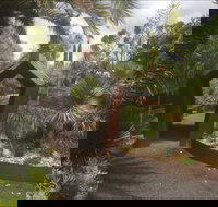 Roraima Nursery and Cafe - Hervey Bay Accommodation