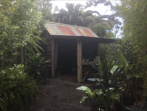 Roraima Nursery And Cafe - Hervey Bay Accommodation 1