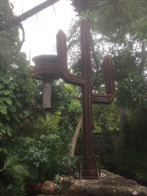 Roraima Nursery And Cafe - Hervey Bay Accommodation 2