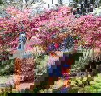 Sculpture at Petana - Hervey Bay Accommodation