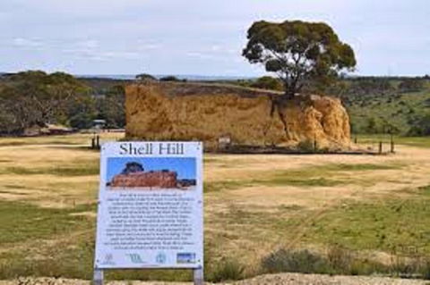 Shell Hill Reserve - Hervey Bay Accommodation 0