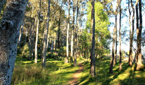 Square Head Track 1 - Hervey Bay Accommodation 0