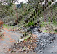 Stepping Stone Crossing to Cascades Trail - Hervey Bay Accommodation