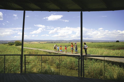 Tamar Island Wetlands Centre And Reserve - Hervey Bay Accommodation 0