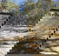 The Pines Conservation Reserve - Hervey Bay Accommodation