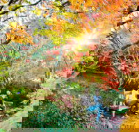 The Blue Mountains Botanic Garden Mount Tomah - Tourism Hervey Bay