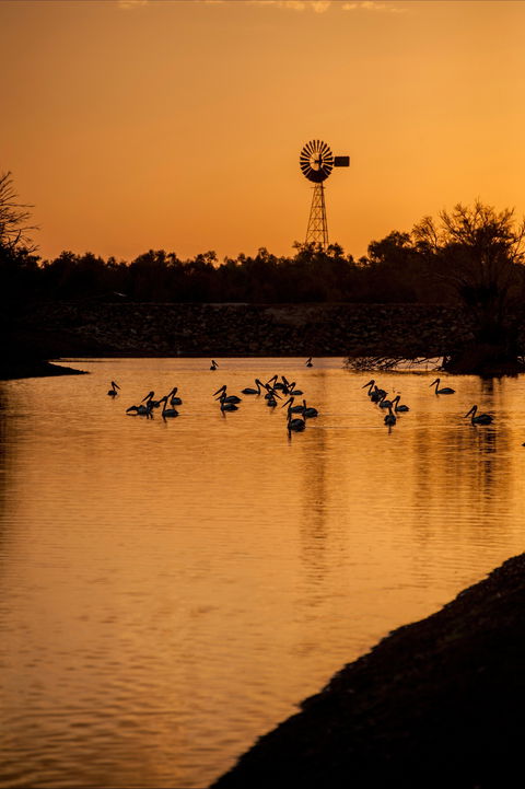 Thomson River, Longreach - Hervey Bay Accommodation 2
