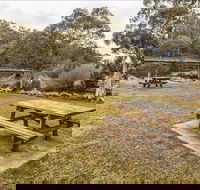 Thredbo River picnic area - Hervey Bay Accommodation