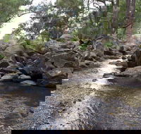 Threlfall Walking Track - Tourism Hervey Bay