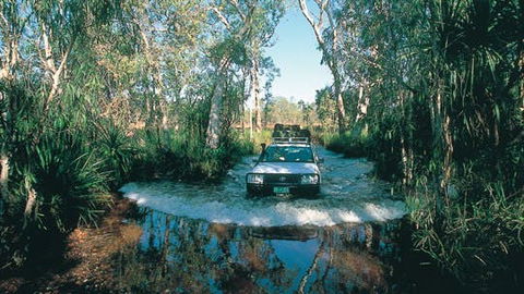 Tjaynera Falls (Sandy Creek) - Hervey Bay Accommodation 1