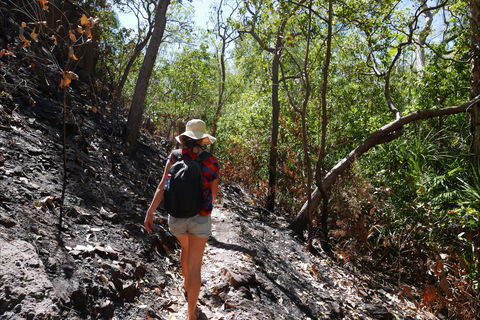 Tjaynera Falls (Sandy Creek) - Hervey Bay Accommodation 2