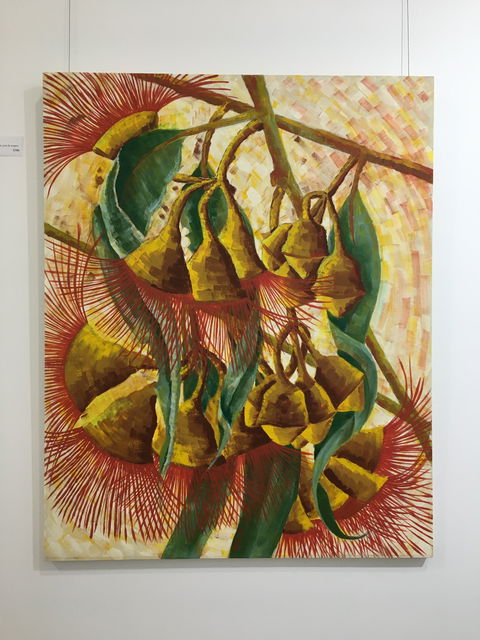 Wacky Bird Gallery - Hervey Bay Accommodation 1