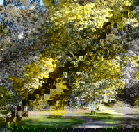 Wattle Park - Hervey Bay Accommodation