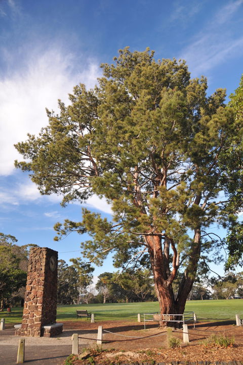 Wattle Park - Hervey Bay Accommodation 2
