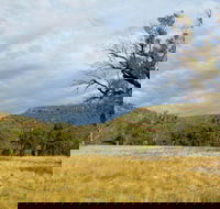 Weddin Mountains National Park - Hervey Bay Accommodation