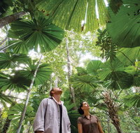 Wet Tropics Rainforest - Tourism Hervey Bay