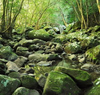 Wodi Wodi Walking Track