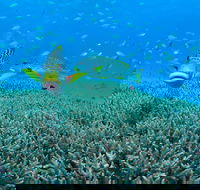 Wreck Bay Dive Site