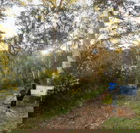 Yarrangobilly Caves  River walk - Hervey Bay Accommodation