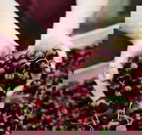 Yarra Valley Cherries - Tourism Hervey Bay