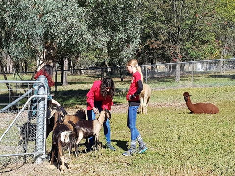 Animal Farm Visit - Hervey Bay Accommodation 1