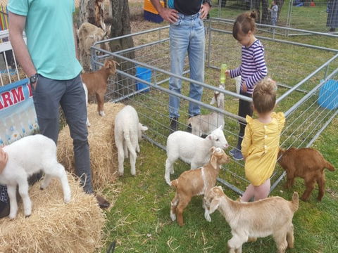 Animal Farm Visit - Hervey Bay Accommodation 2