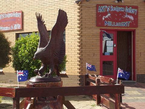 Ant's Redgum Gallery - Hervey Bay Accommodation 0