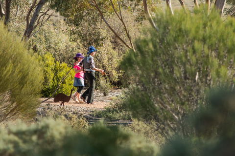 Australian Arid Lands Botanic Garden - Tourism Hervey Bay 0