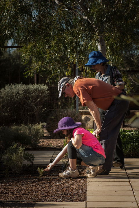 Australian Arid Lands Botanic Garden - Tourism Hervey Bay 1