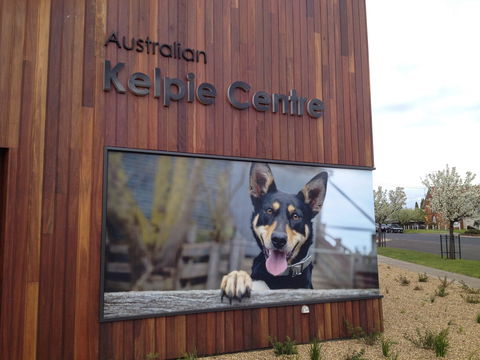 Australian Kelpie Centre - Hervey Bay Accommodation 0