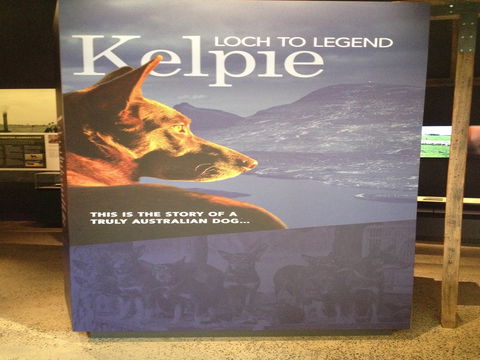 Australian Kelpie Centre - Hervey Bay Accommodation 1