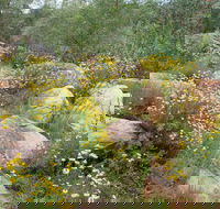 Ben Hall's Cave Walking Track - Hervey Bay Accommodation
