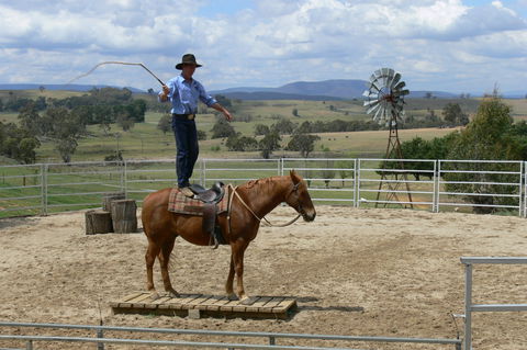 Boggy Creek Show - Hervey Bay Accommodation 0