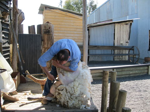 Boggy Creek Show - Hervey Bay Accommodation 2