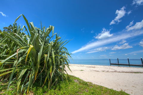 Bongaree Walkabout - Hervey Bay Accommodation 0