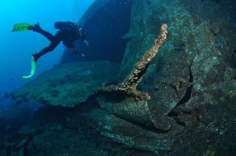 Cementco Dive Site - Hervey Bay Accommodation 1