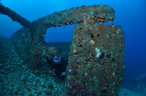 Cementco Dive Site - Hervey Bay Accommodation 2