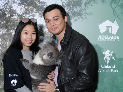 Cleland Wildlife Park - Koala Hold - Hervey Bay Accommodation 0