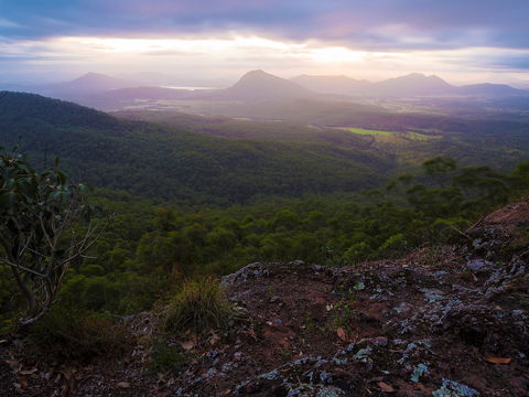 Cunninghams Gap And Spicers Gap, Main Range National Park - Tourism Hervey Bay 0