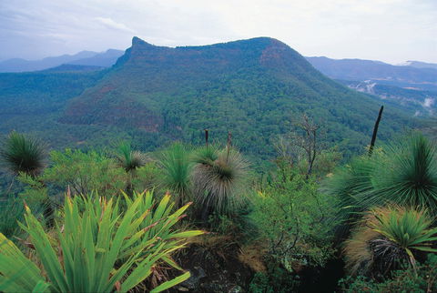 Cunninghams Gap And Spicers Gap, Main Range National Park - Tourism Hervey Bay 1