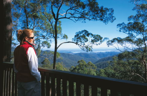 D'Aguilar National Park - Hervey Bay Accommodation 0