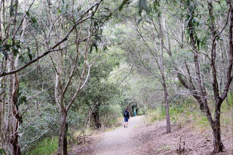 D'Aguilar National Park - Hervey Bay Accommodation 2
