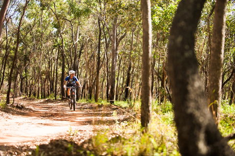 Davies Creek Mountain Bike Park - Hervey Bay Accommodation 1