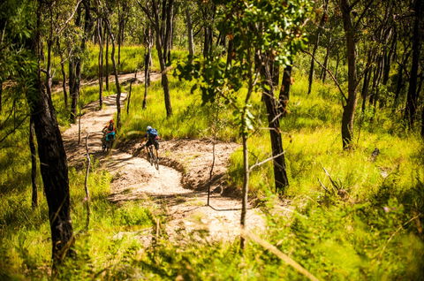 Davies Creek Mountain Bike Park - Hervey Bay Accommodation 2