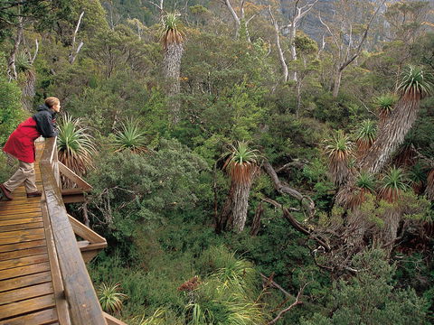 Dove Lake - Hervey Bay Accommodation 1
