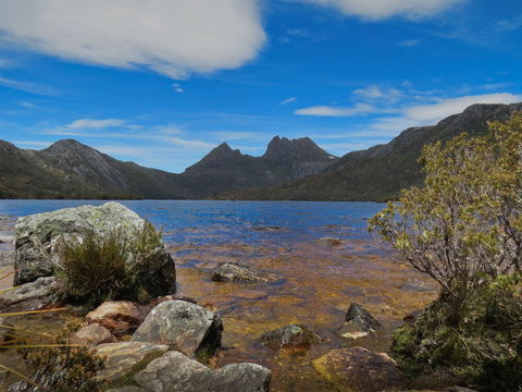 Dove Lake - Hervey Bay Accommodation 2
